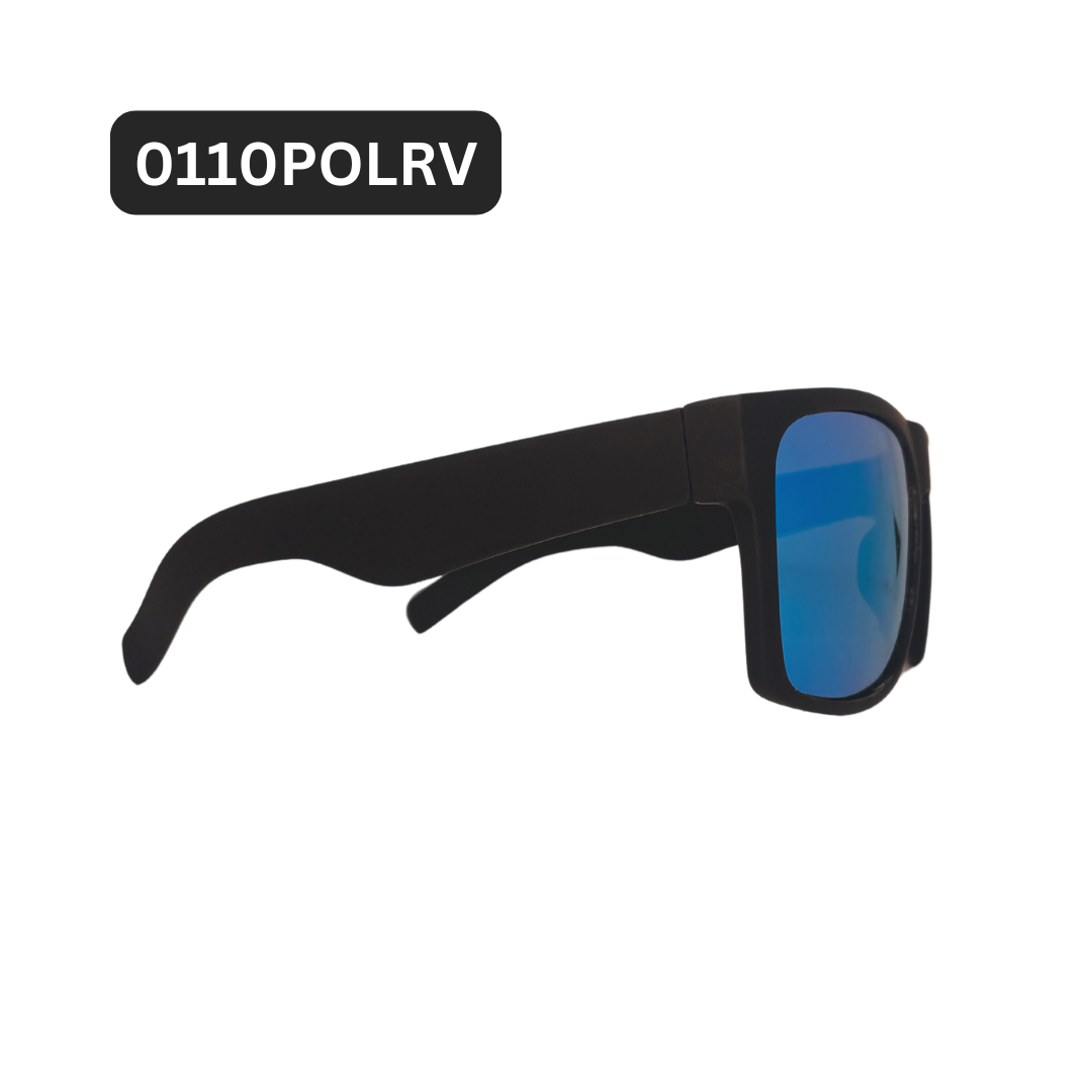 0110POLRV