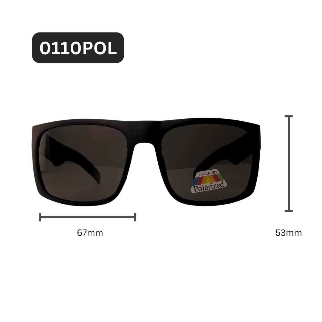 0110POL