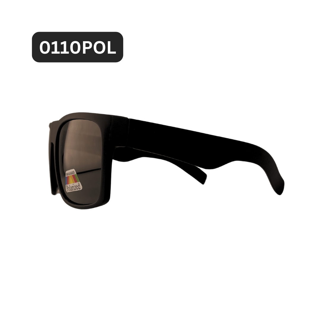 0110POL