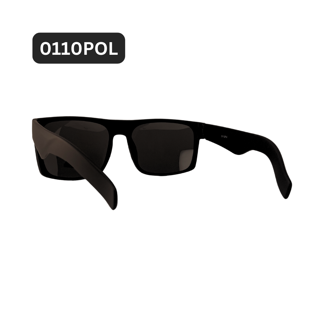 0110POL